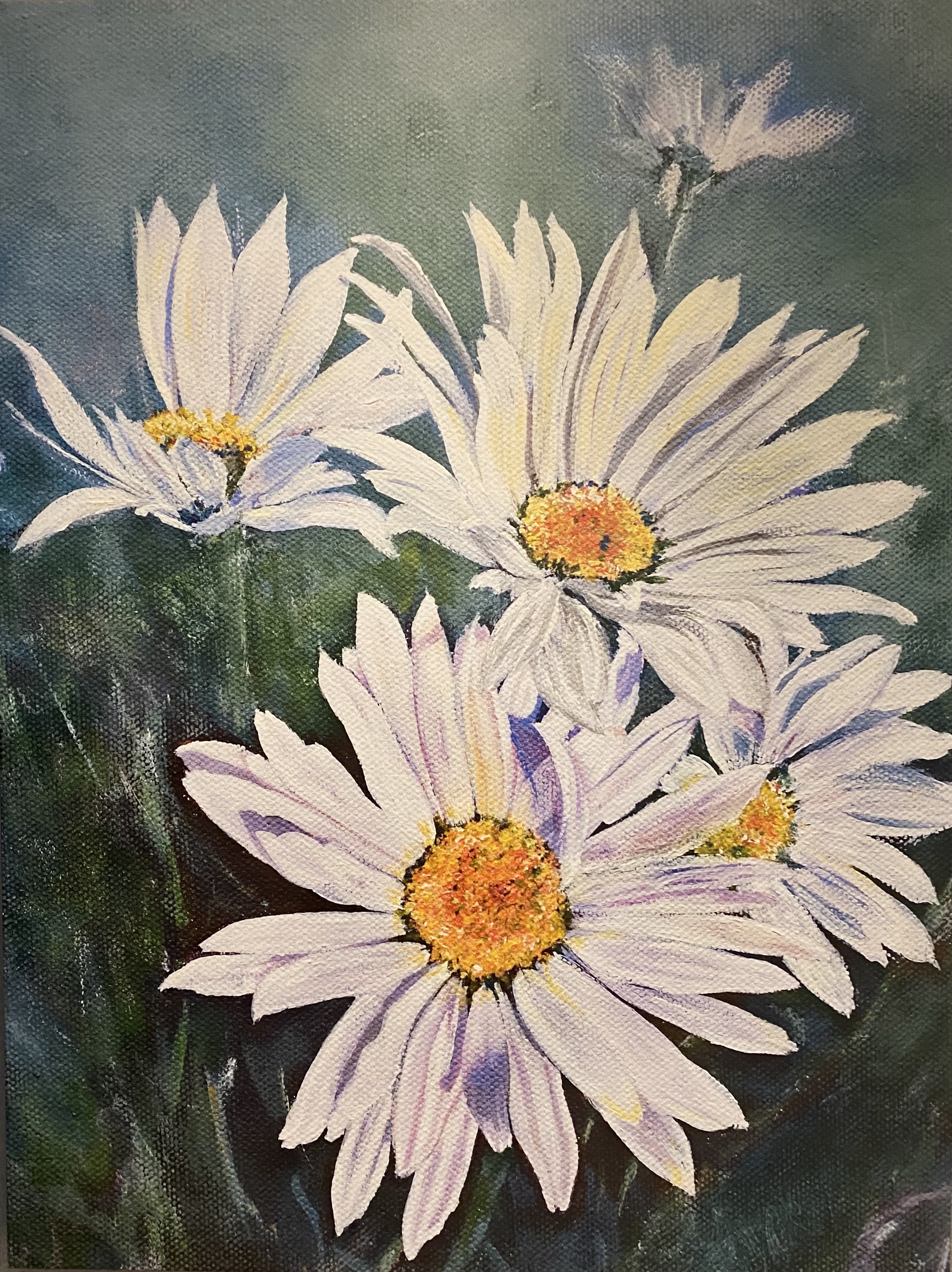 Greco Josie Daisies