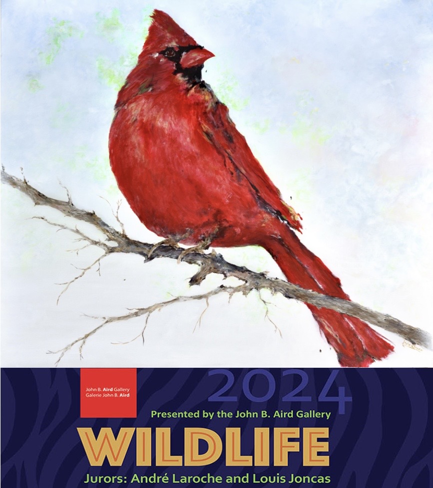 JosieGreco Cardinal