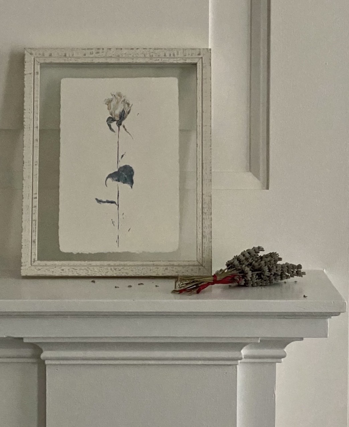 JosieGreco Rose on Amalfi paper