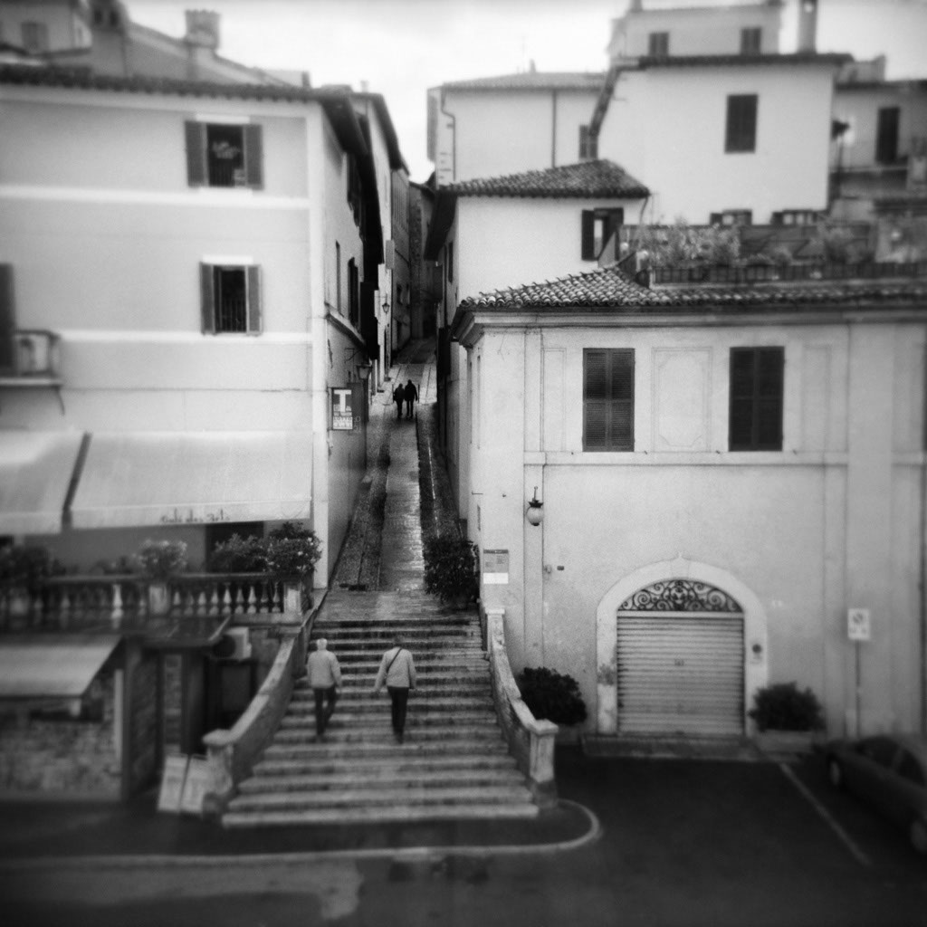 PerlmutterKaren Spoleto Steps