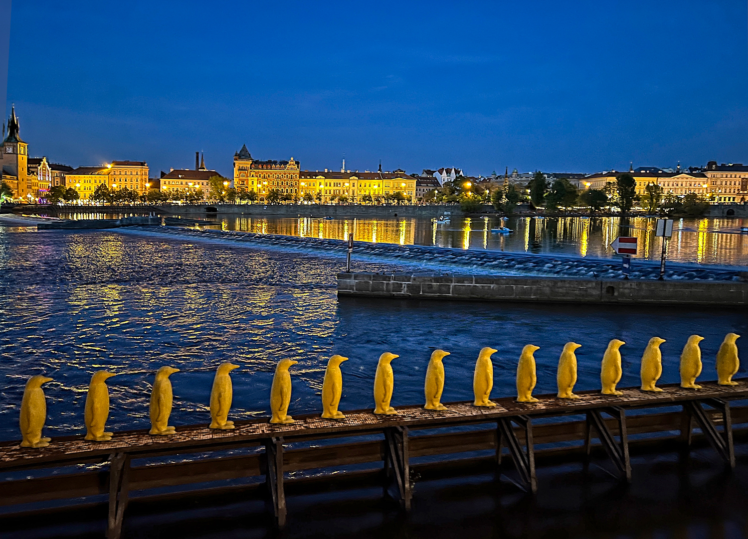 Penguins on the Vltava Prague