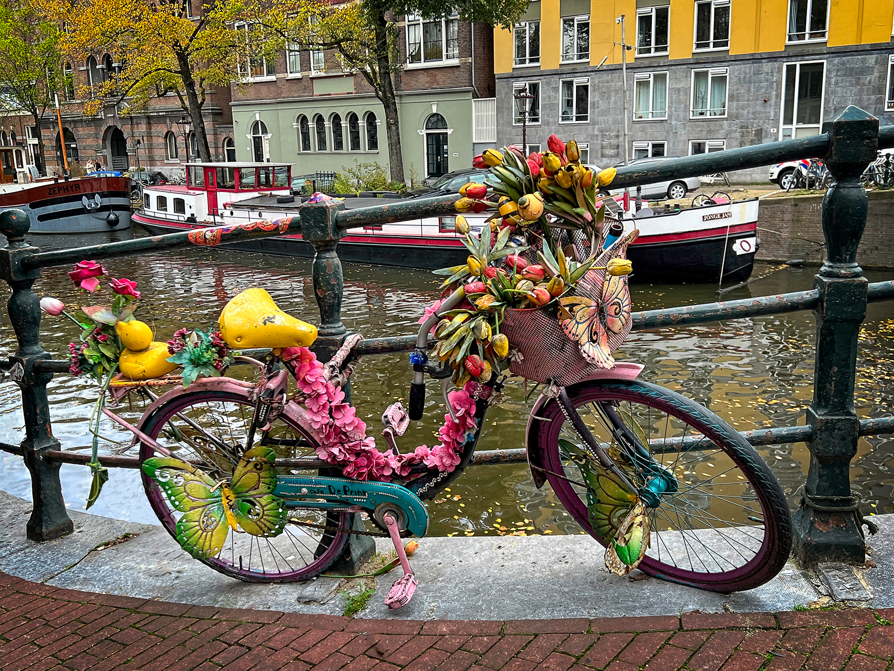 Tulip Bicycle Amsterdam