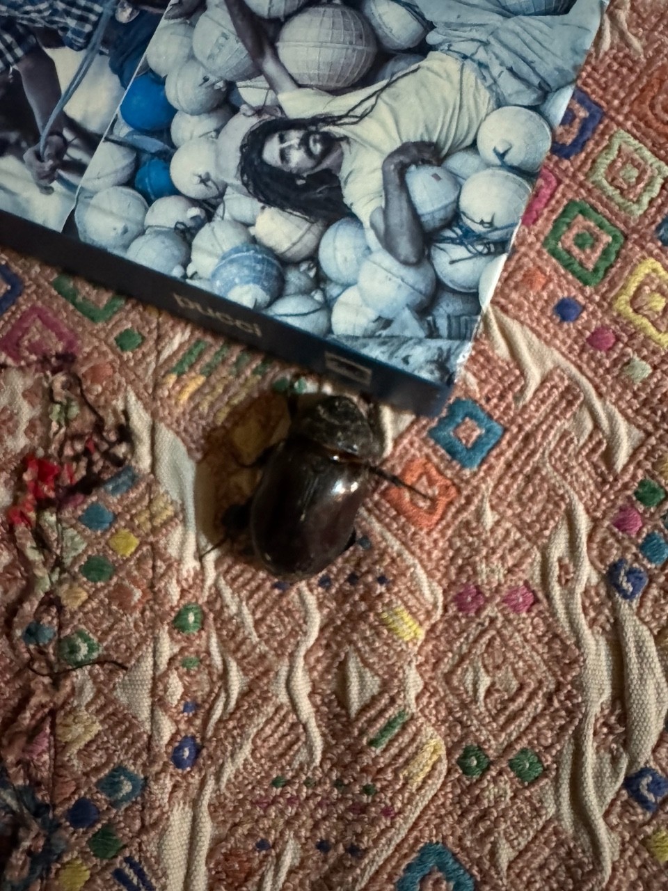 small omens