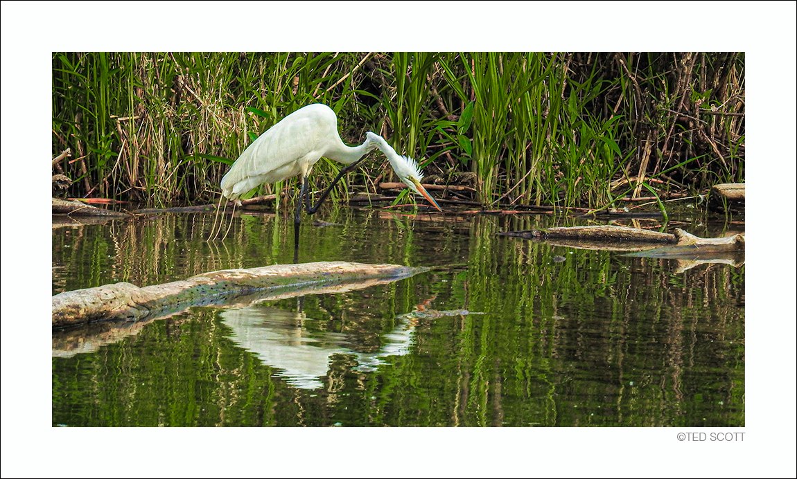 EGRET