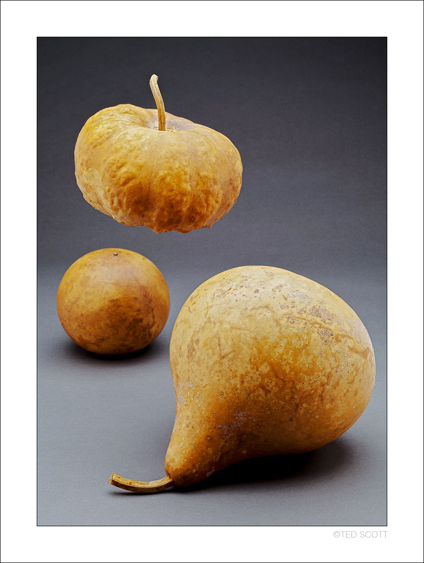 GOURDS