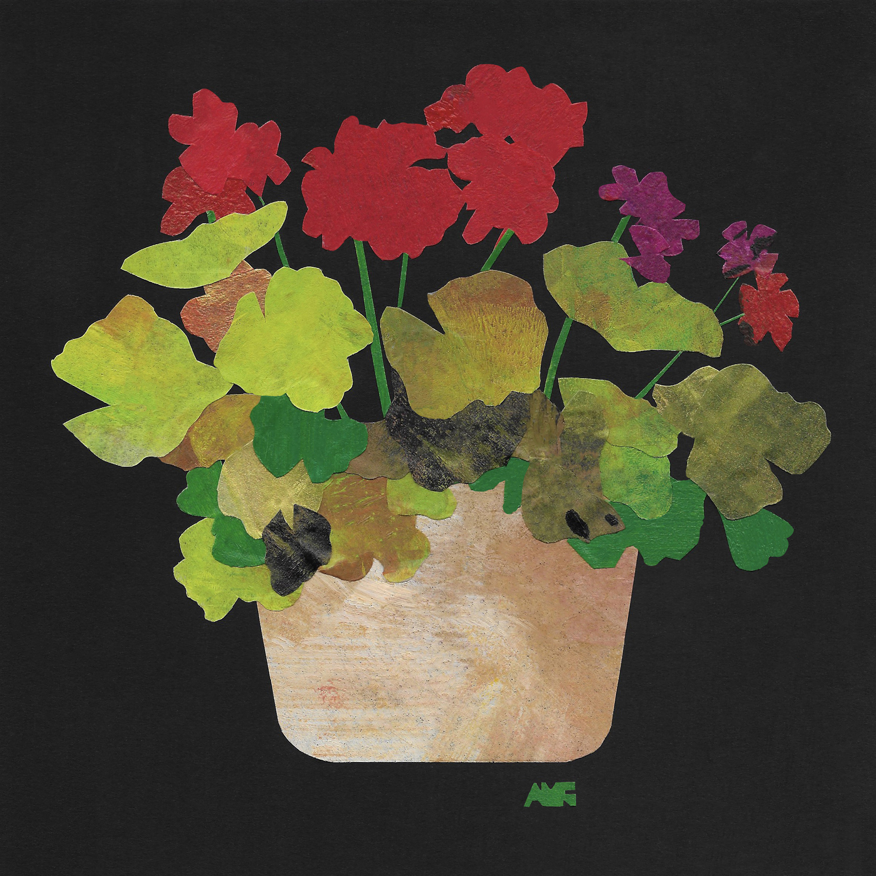 AnitaGranger SummerGeranium