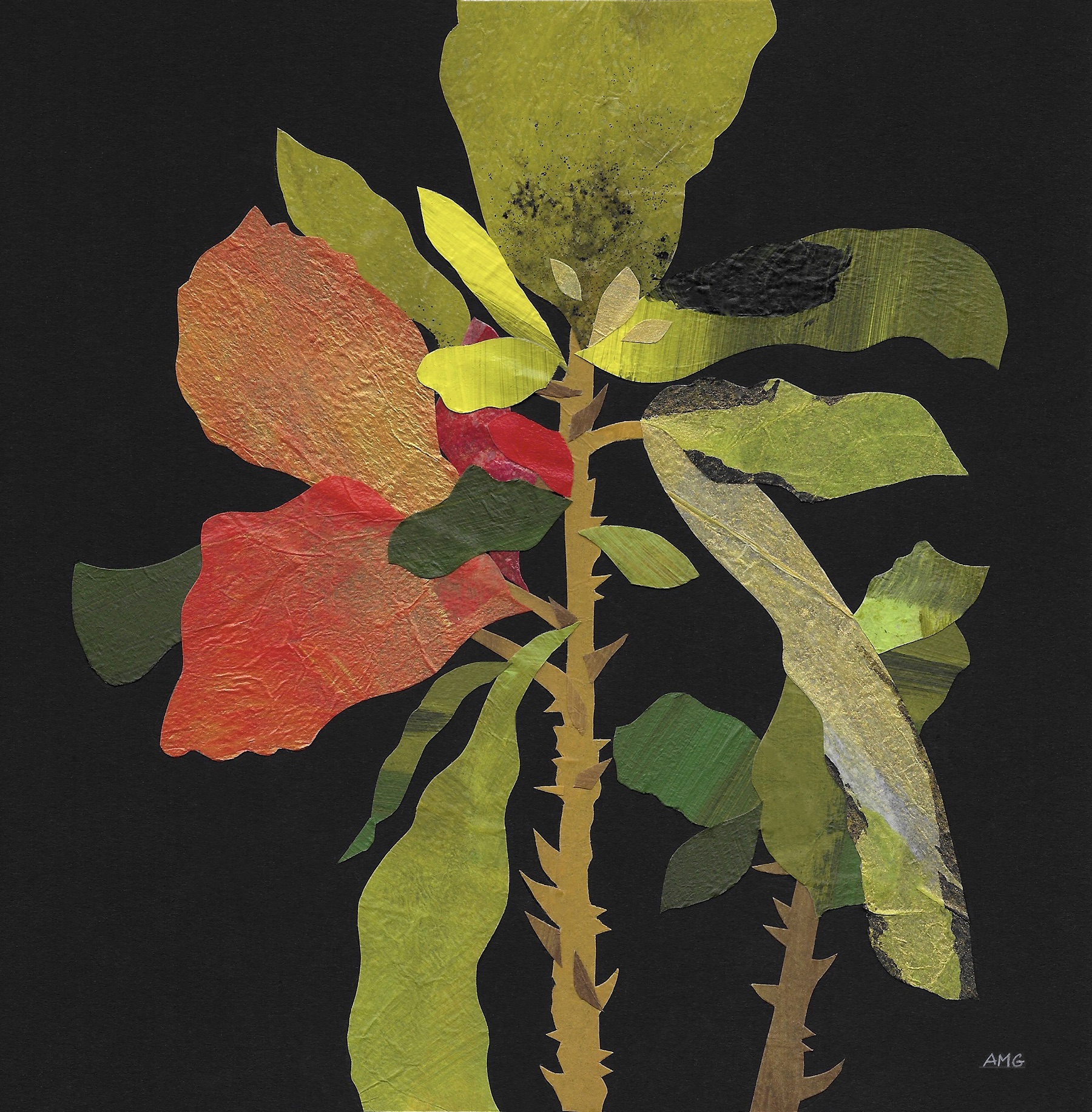 ag FLF 1 INSTA